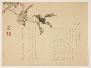 枝に鳥（色木版画） 作： Tanomura Shsai